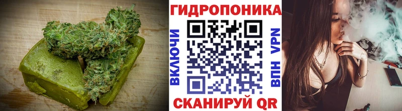 Canna-Cookies конопля  Купить где  Судак 