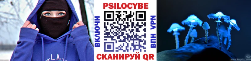 Купить закладки  Судак  Псилоцибиновые грибы MAGIC MUSHROOMS 
